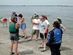 1826_CrabIsland.JPG