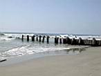 1856_Groin_Folly.JPG