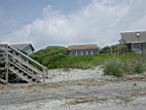 1863_DuneVegetation_Folly.JPG