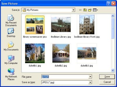 'Save Picture' Window