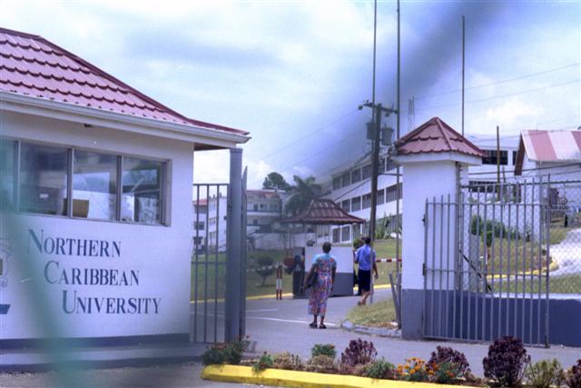 Northern caribbean university jamaica jobs