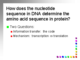 dna nucleotide sequence