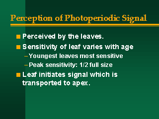 Perception Of Photoperiodic Signal