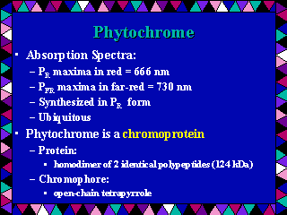 Phytochrome