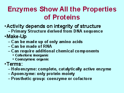 enzymes proteins