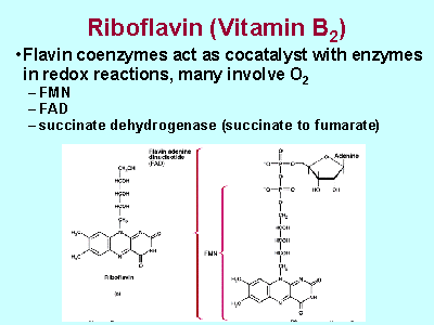 Riboflavin (Vitamin B2)