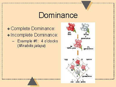 Bondage and dominance