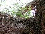 DSCN3103.jpg
