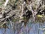 DSCN3109.jpg