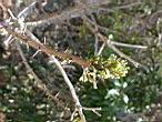DSCN3114.jpg