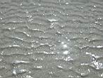 DSCN3117.jpg