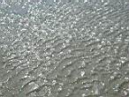DSCN3119.jpg