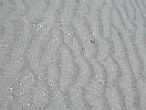 DSCN3121.jpg
