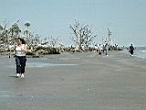 DSCN3129.jpg