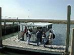DSCN3134.jpg