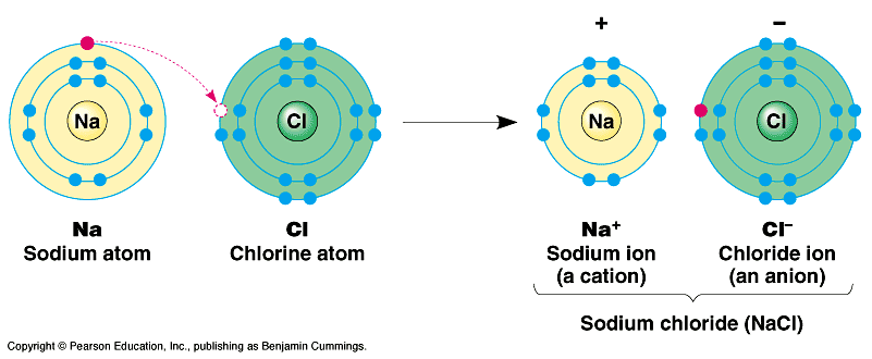 do negative ions have more protons than electrons